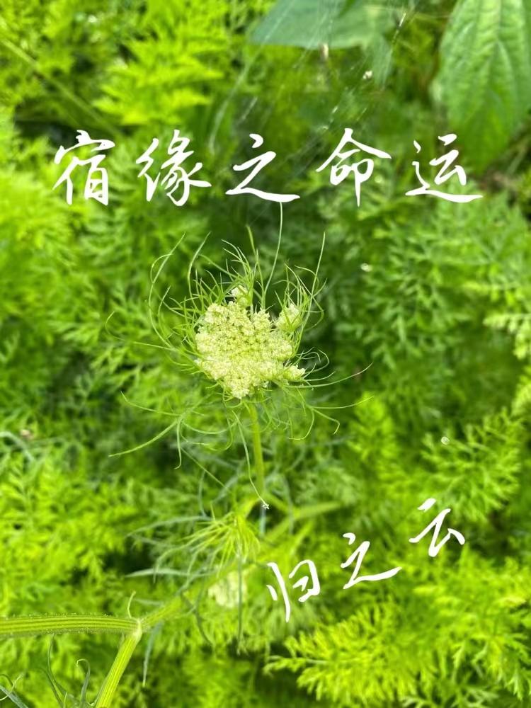 诉源治理座谈会